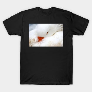White Goose T-Shirt